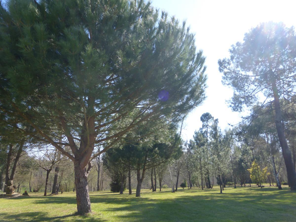 Gite Les Pins Perdus Saint-Ciers-d'Abzac Экстерьер фото
